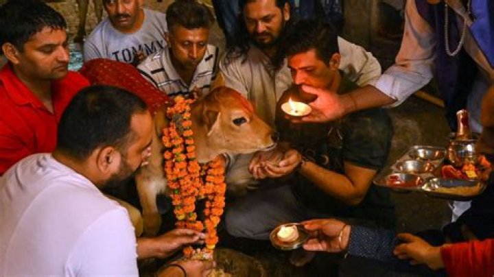 Do Hindu men drink?