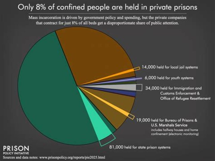 Do privately owned prisons increase incarceration rates?