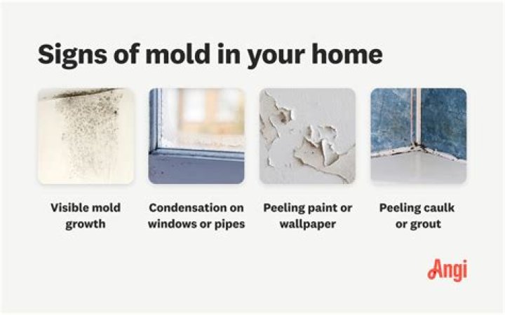 Does mold grow on stucco?