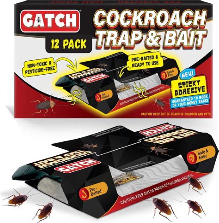 Is there ever just 1 cockroach?