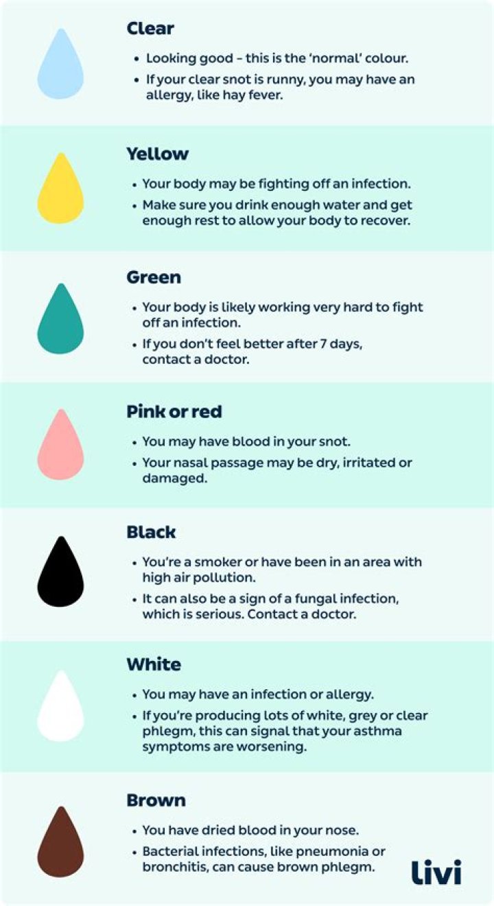 What color does not show dust?