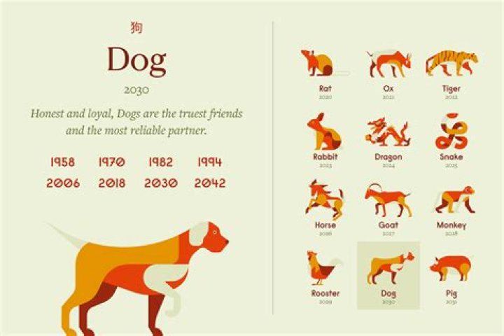 What is Leos dog?