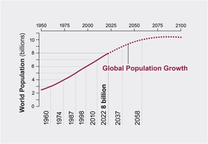 What is population growth Class 8?