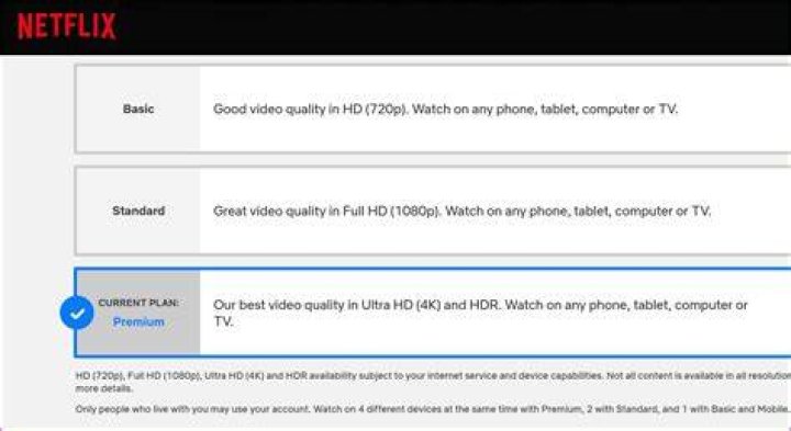 Which Netflix plan allows multiple users?