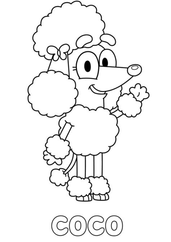Why is Coco called kaichou?