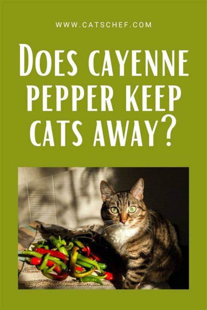 Will cayenne pepper keep snakes away?